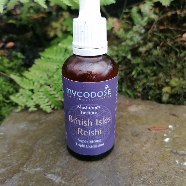 British Isles Reishi Tincture (50ml)