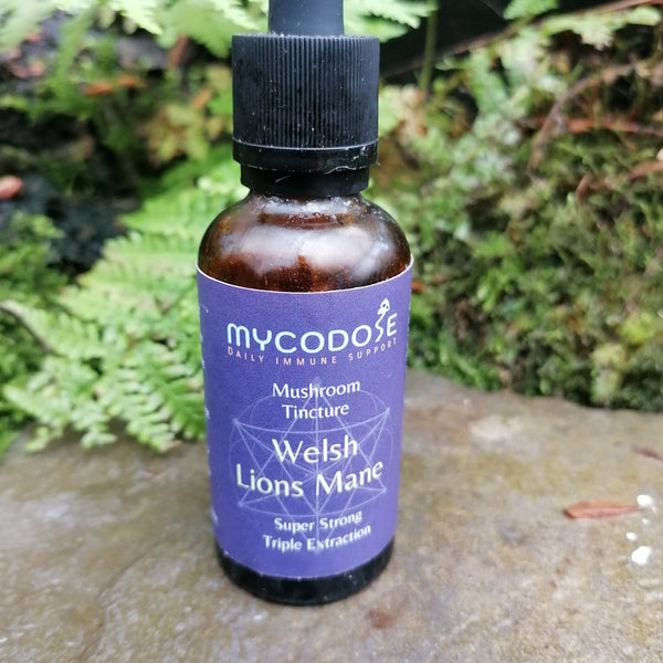 Welsh Lions Mane Tincture (50ml)