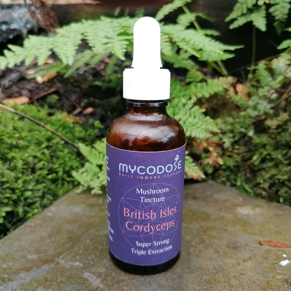 British Isles Cordyceps Militaris Tincture (50ml)