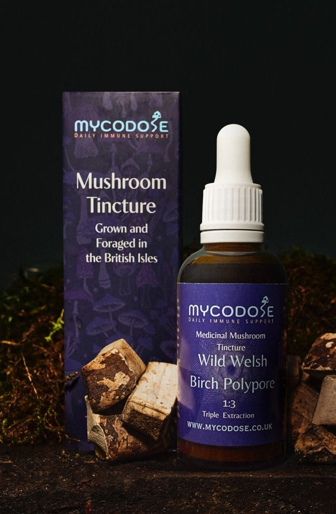 Birch Polypore Tincture (50ml)