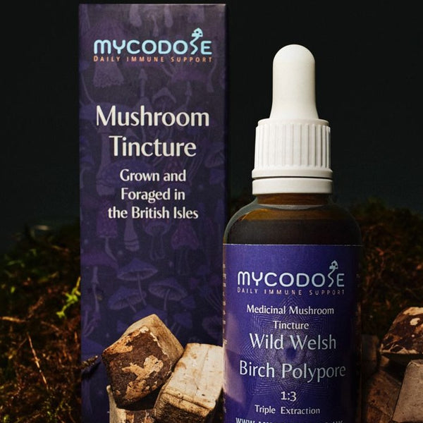 Birch Polypore Tincture (50ml)
