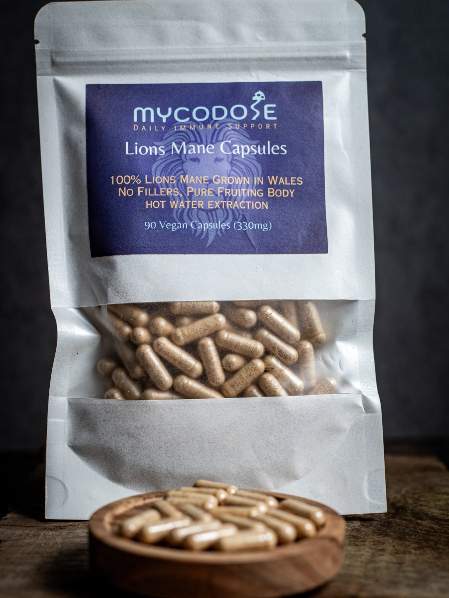 Welsh Lions Mane dried hot water extracted Capsules (90 one months supply)