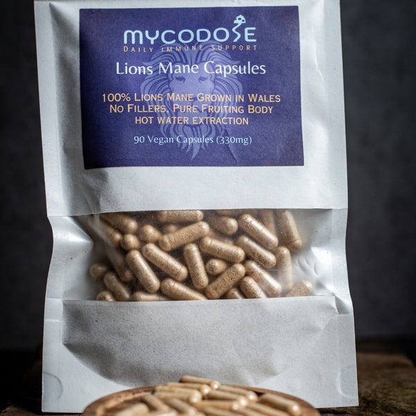 Welsh Lions Mane dried hot water extracted Capsules (90 one months supply)