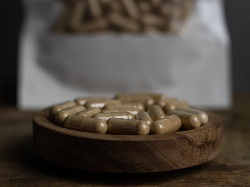 Welsh Lions Mane dried hot water extracted Capsules (90 one months supply)