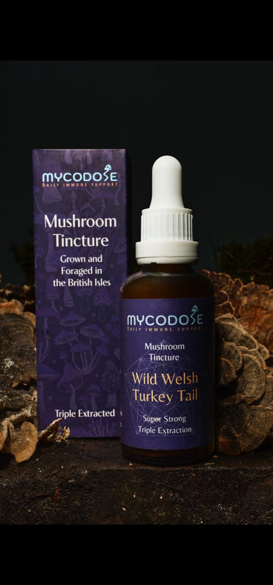Wild Welsh Turkey Tail Tincture for pets (50ml)