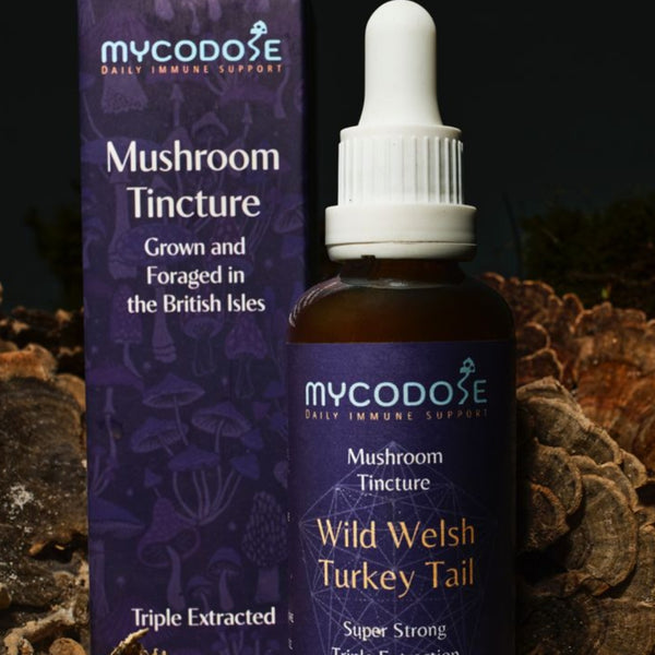 Wild Welsh Turkey Tail Tincture for pets (50ml)