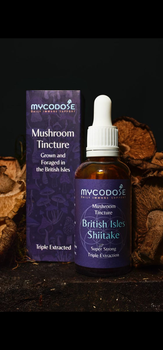 Welsh Shiitake Tincture (50ml)