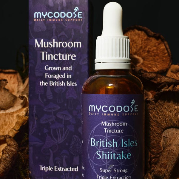 Welsh Shiitake Tincture (50ml)