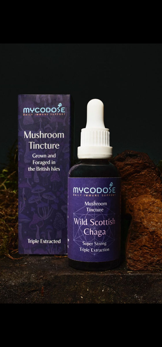 Wild Scottish Chaga Tincture (50ml)