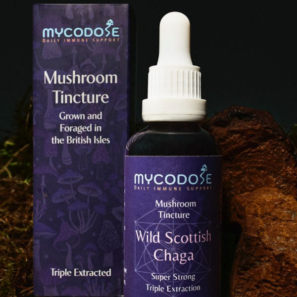 Wild Scottish Chaga Tincture (50ml)