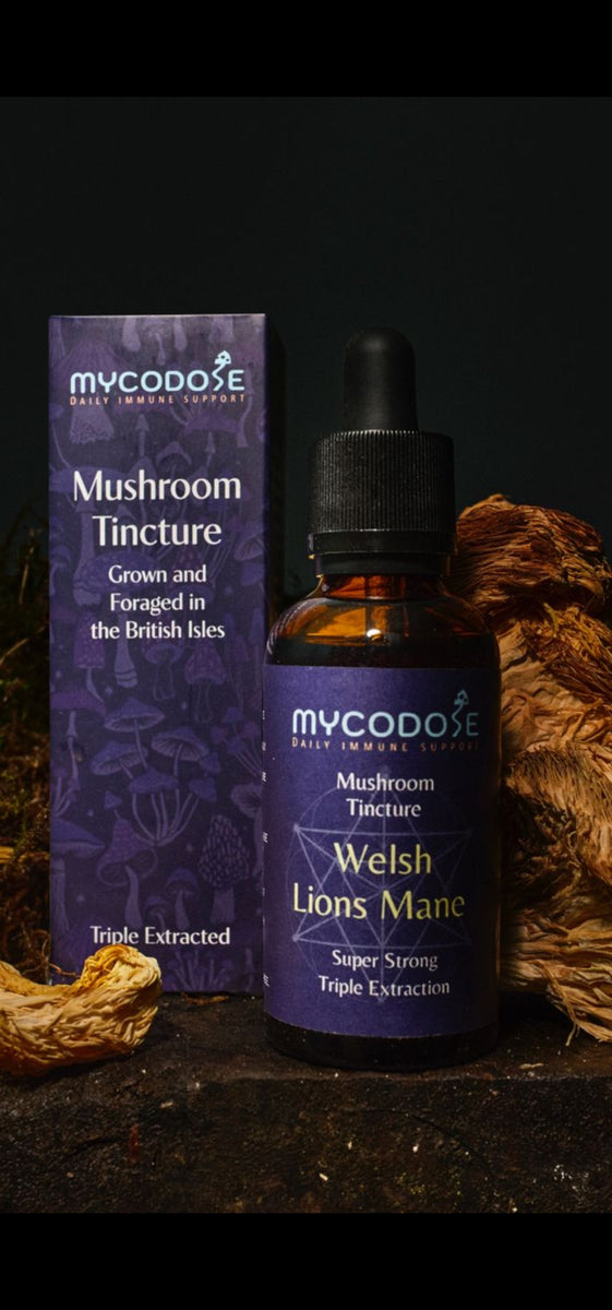 Welsh Lions Mane Tincture (50ml)