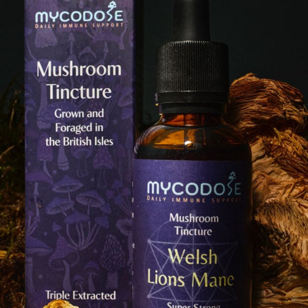 Welsh Lions Mane Tincture (50ml)