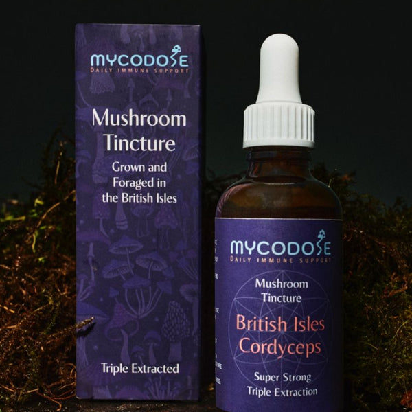 British Isles Cordyceps Militaris Tincture (50ml)
