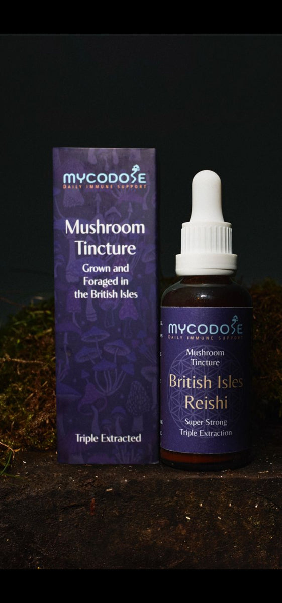 British Isles Reishi Tincture (50ml)