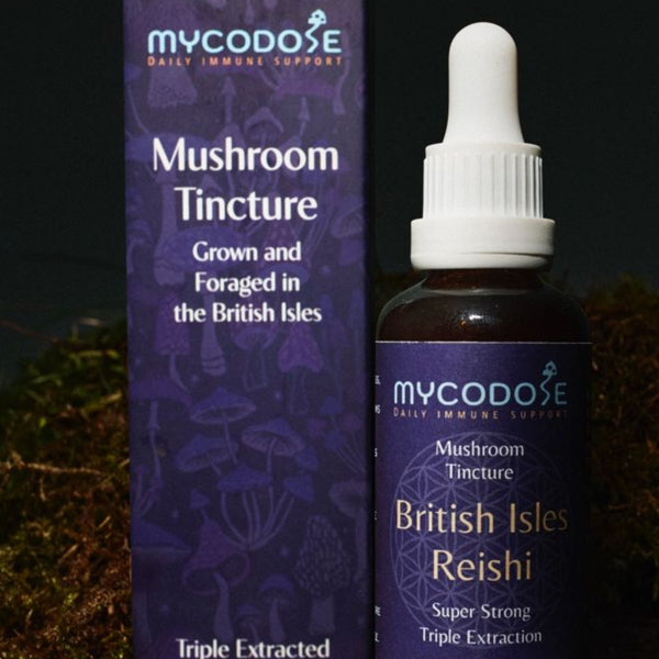 British Isles Reishi Tincture (50ml)