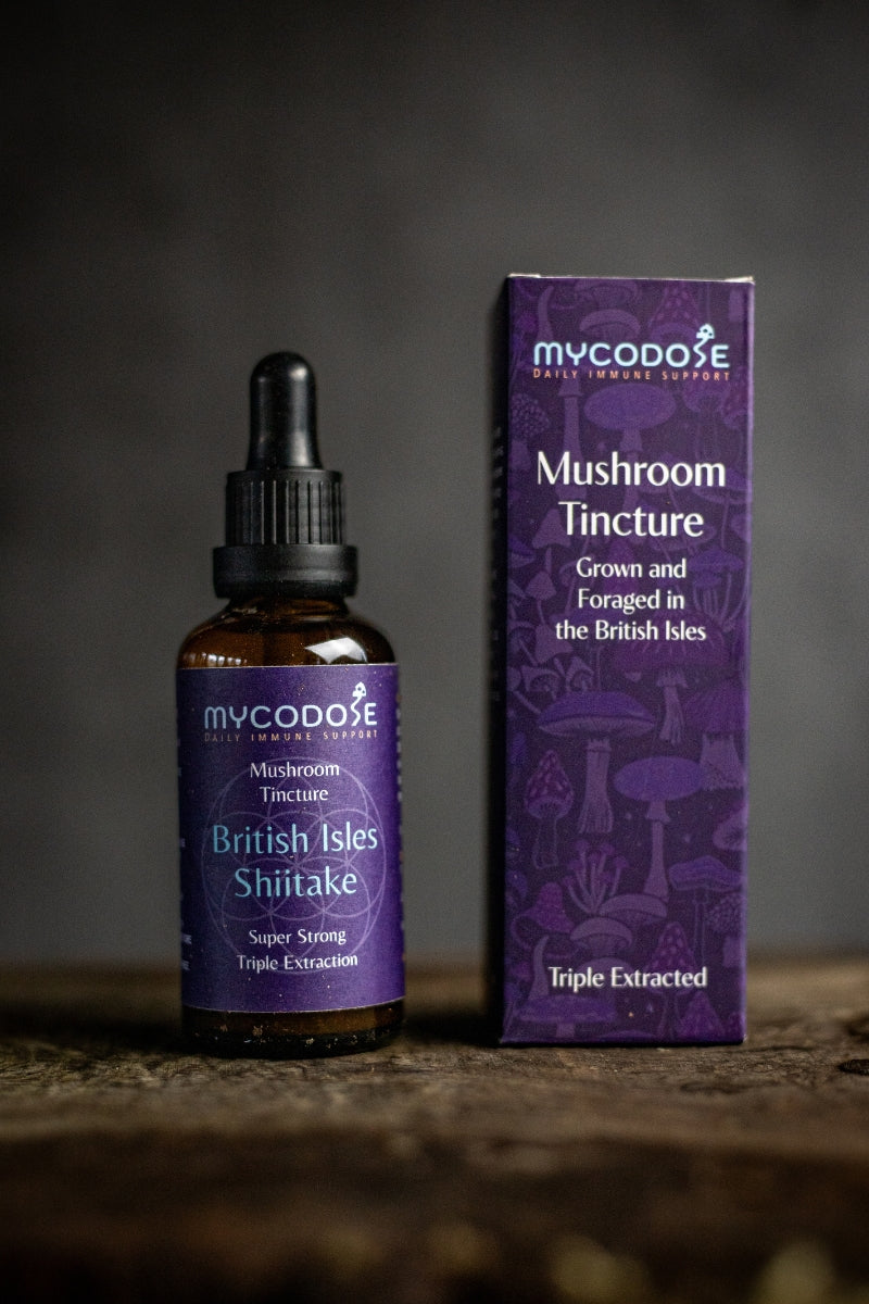 Welsh Shiitake Tincture (50ml)