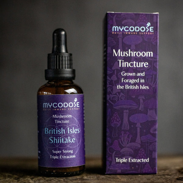 Welsh Shiitake Tincture (50ml)