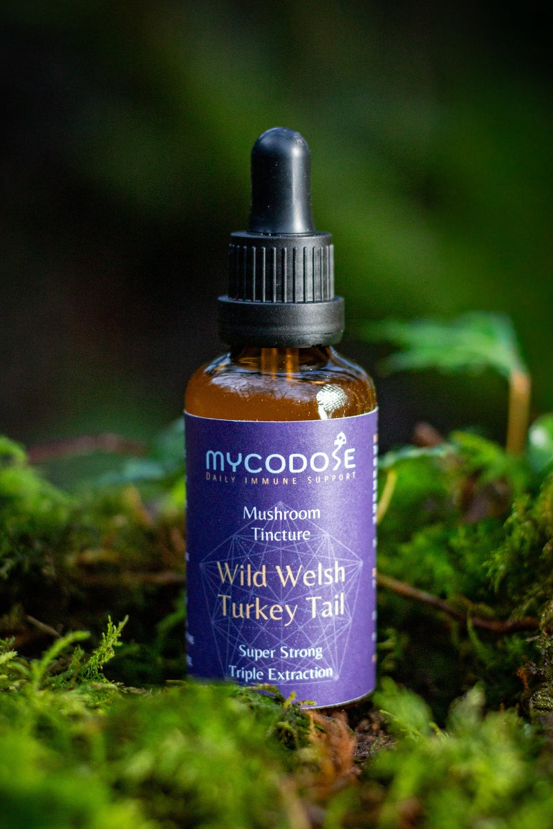 Wild Welsh Turkey Tail Tincture for pets (50ml)