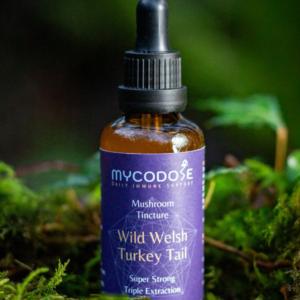 Wild Welsh Turkey Tail Tincture for pets (50ml)