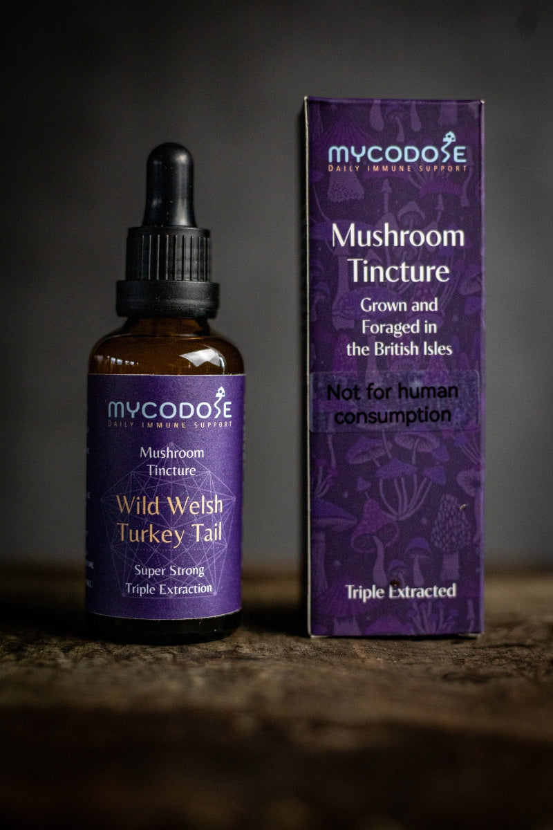 Wild Welsh Turkey Tail Tincture for pets (50ml)