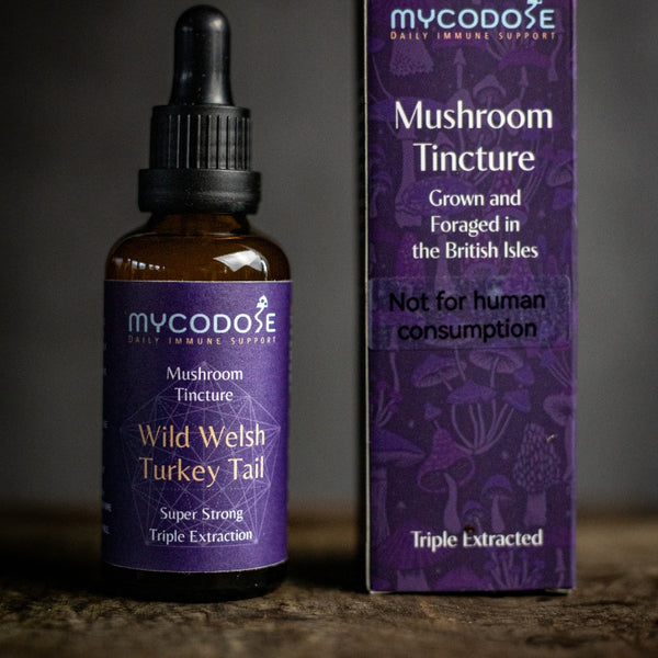 Wild Welsh Turkey Tail Tincture for pets (50ml)