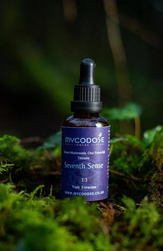 Seventh Sense Mushroom Blend  Tincture (50ml)