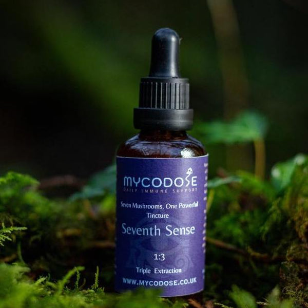 Seventh Sense Mushroom Blend  Tincture (50ml)