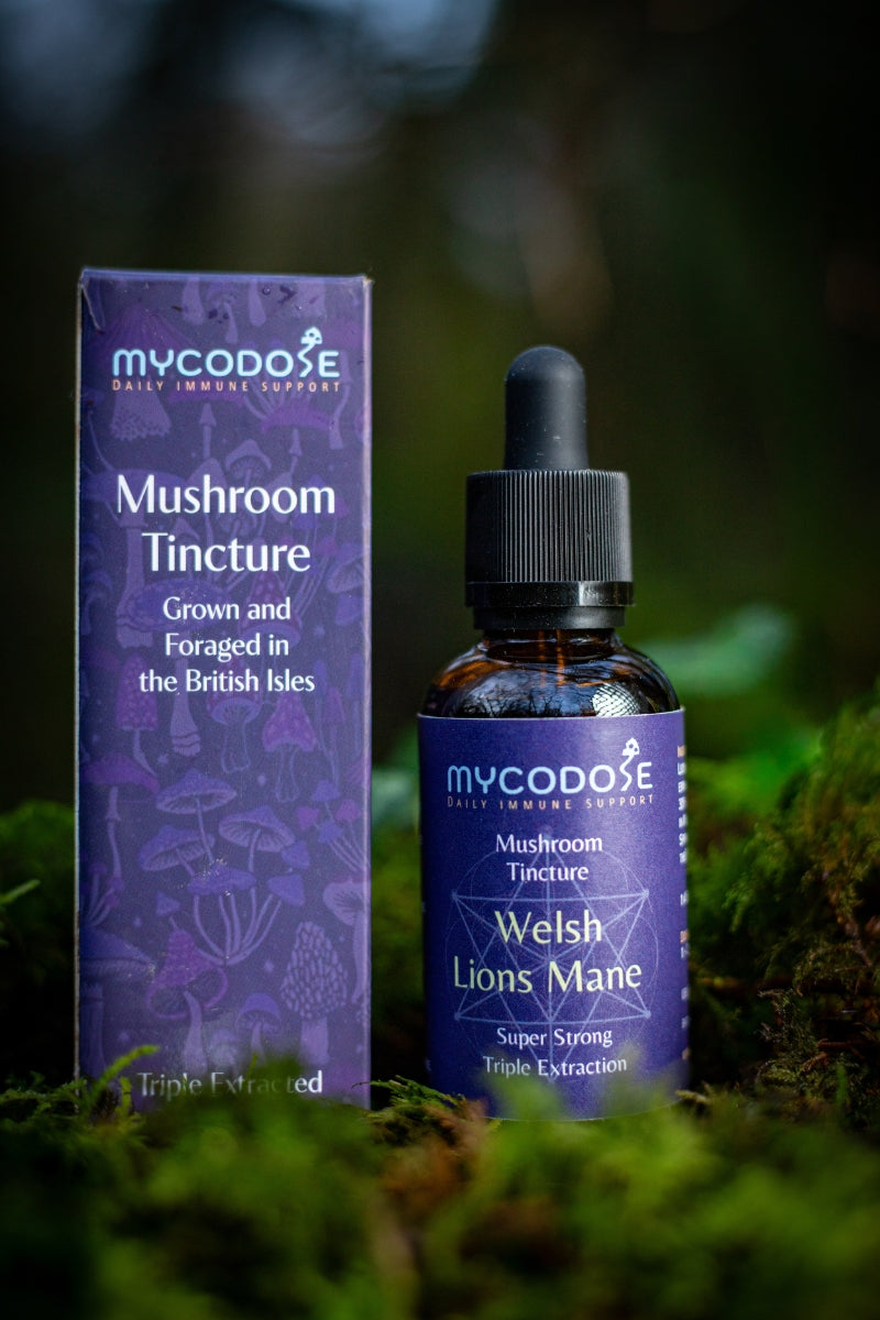 Welsh Lions Mane Tincture (50ml)