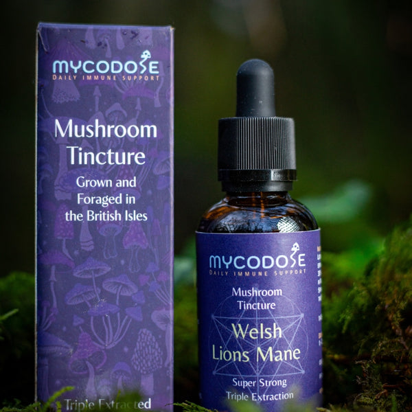 Welsh Lions Mane Tincture (50ml)
