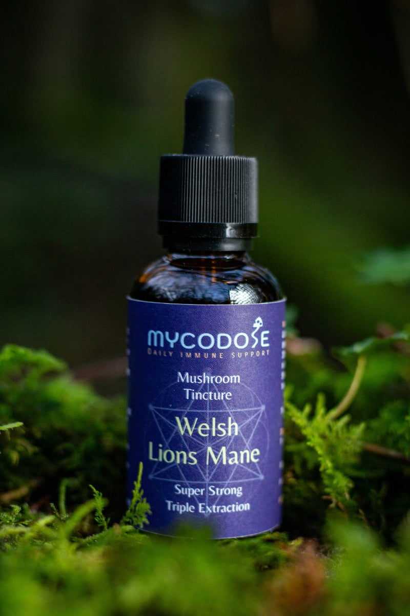 Welsh Lions Mane Tincture (50ml)