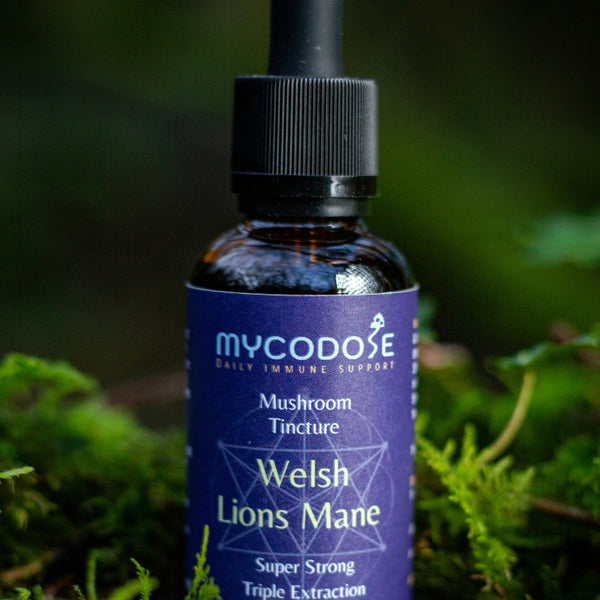 Welsh Lions Mane Tincture (50ml)