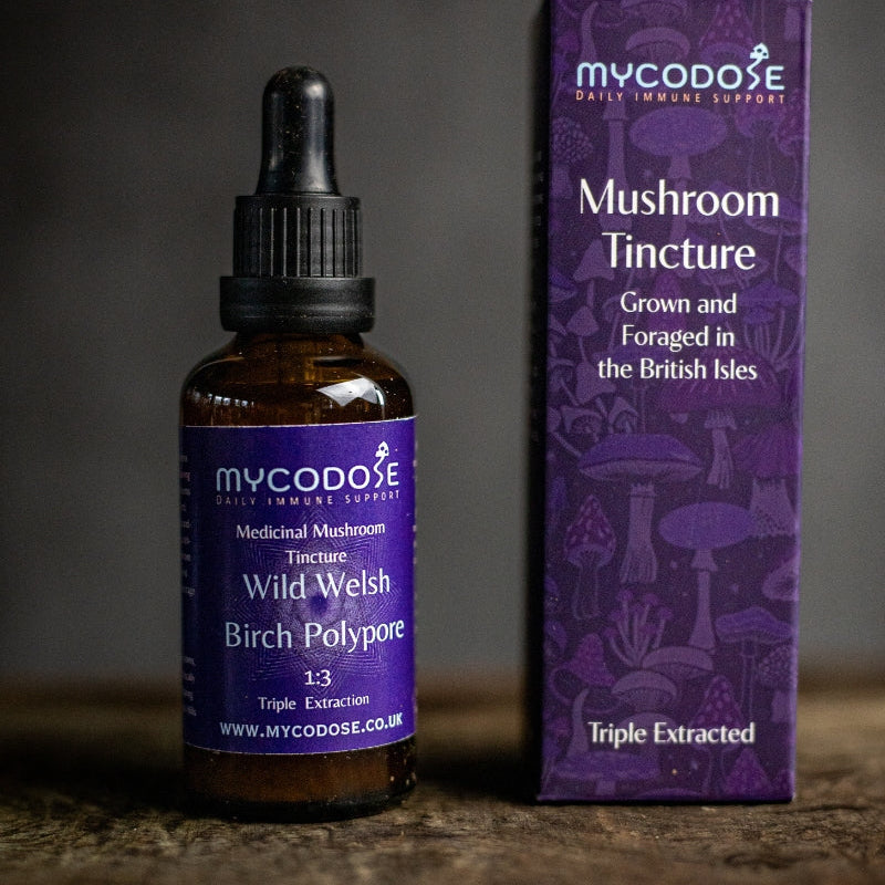 Birch Polypore Tincture (50ml)