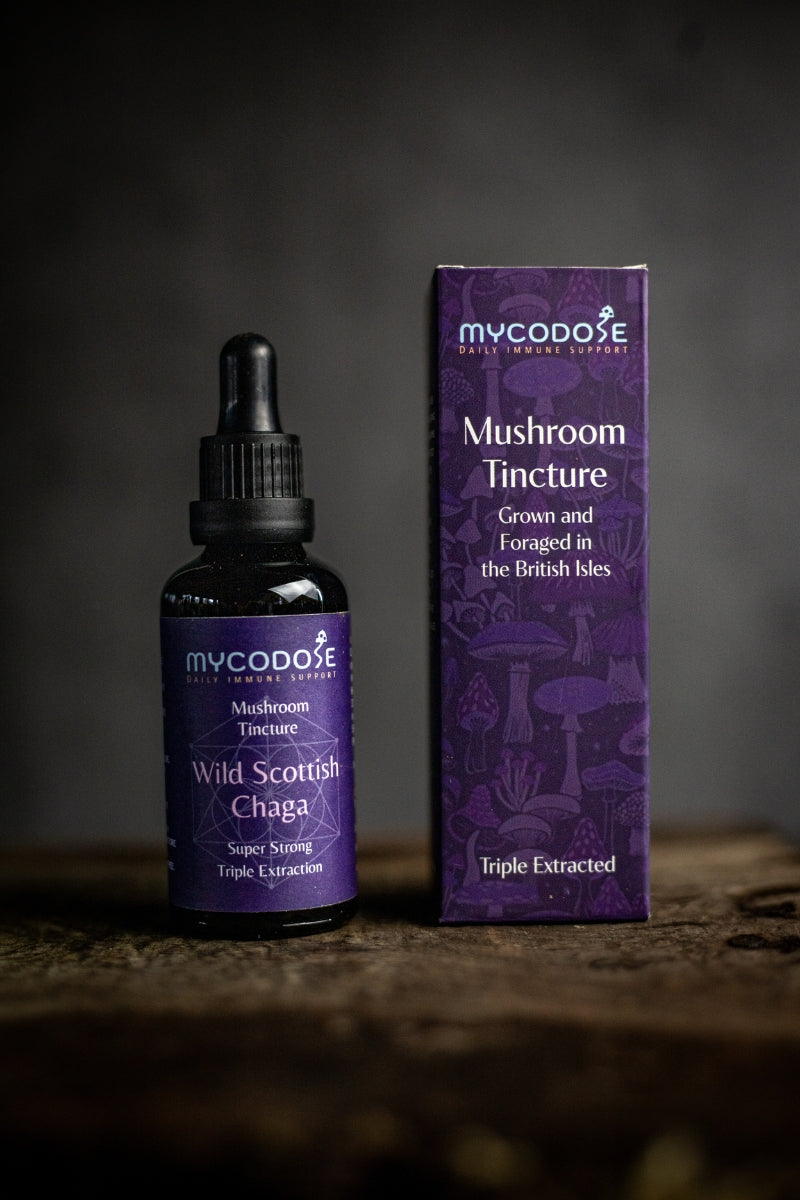 Wild Scottish Chaga Tincture (50ml)