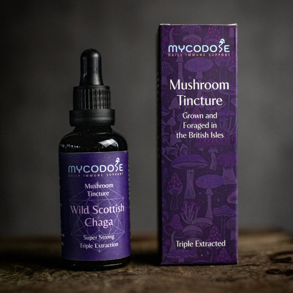 Wild Scottish Chaga Tincture (50ml)