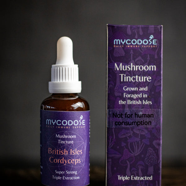 British Isles Cordyceps Militaris Tincture for pets (50ml)