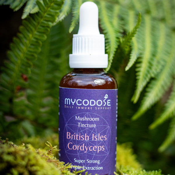 British Isles Cordyceps Militaris Tincture for pets (50ml)