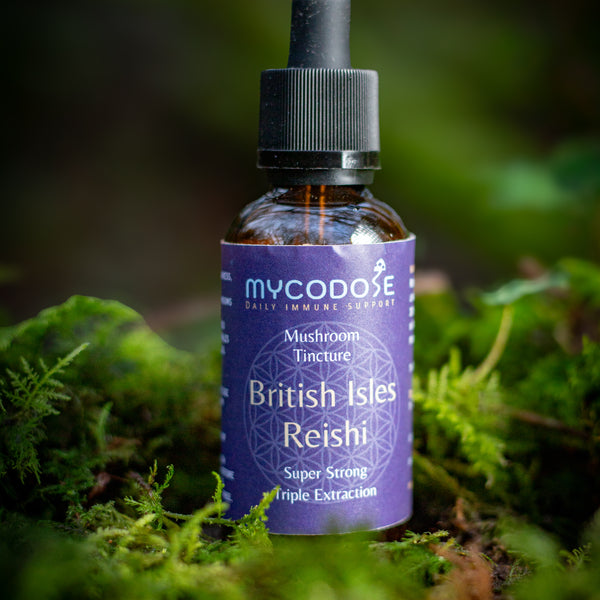 British Isles Reishi Tincture (50ml)