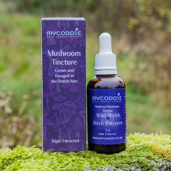 Birch Polypore Tincture (50ml)