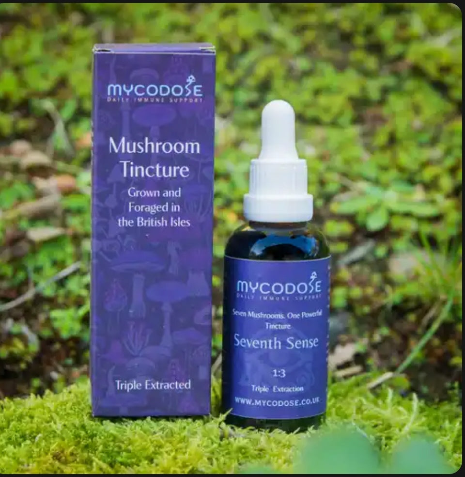 7 Traditional mushroom blend  tincture (50ml)